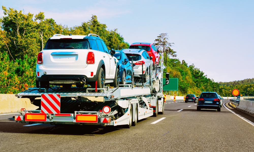 Car and Bike Relocation APM Packers